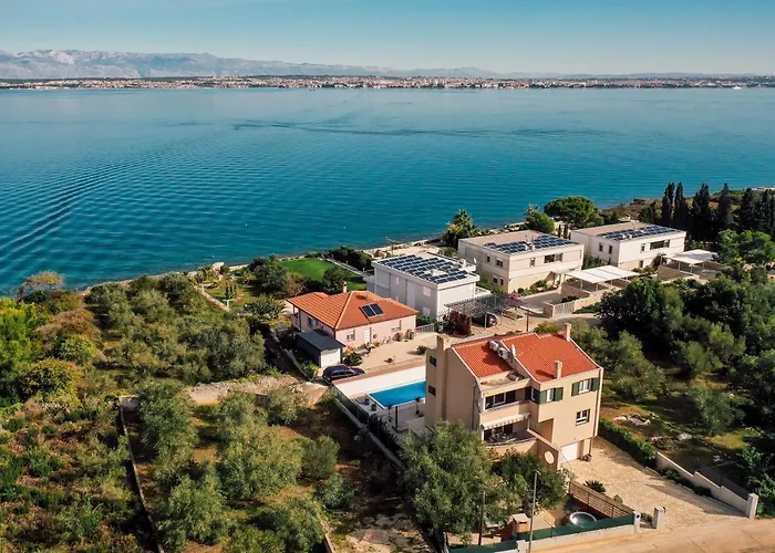 فيلة Frida Sutomiscica